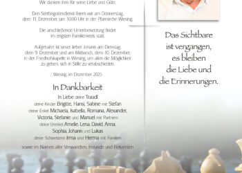 In Memoriam Johann Pirchner